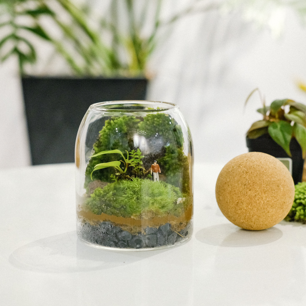 Terrarium Kit