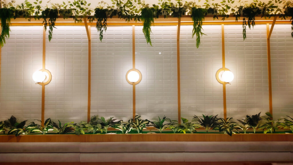 Hanging Flowering Plants Indoor