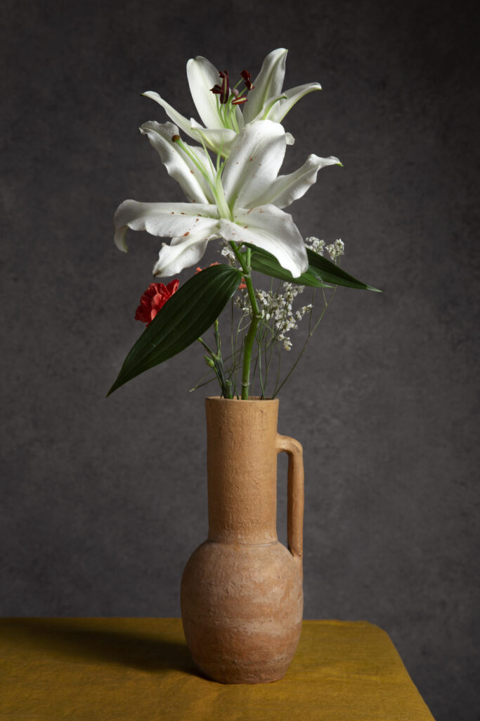 Peace Lily Indoor