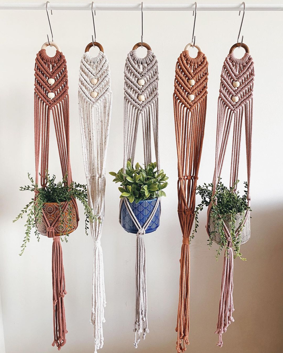 plant hangers