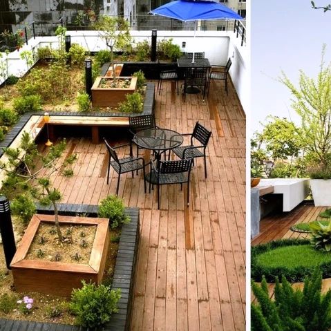 Rooftop Gardens