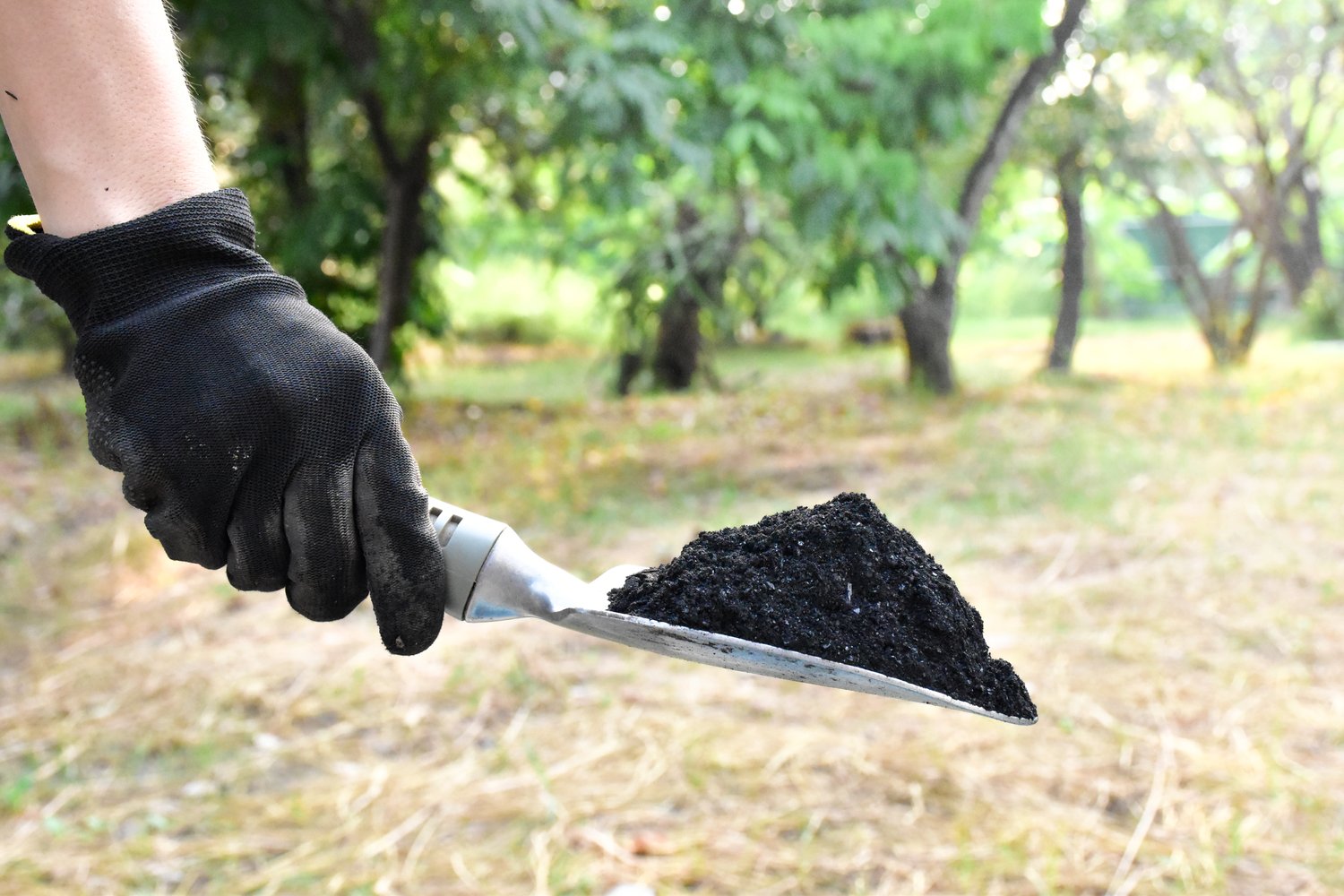 Garden Soil with Charcoal