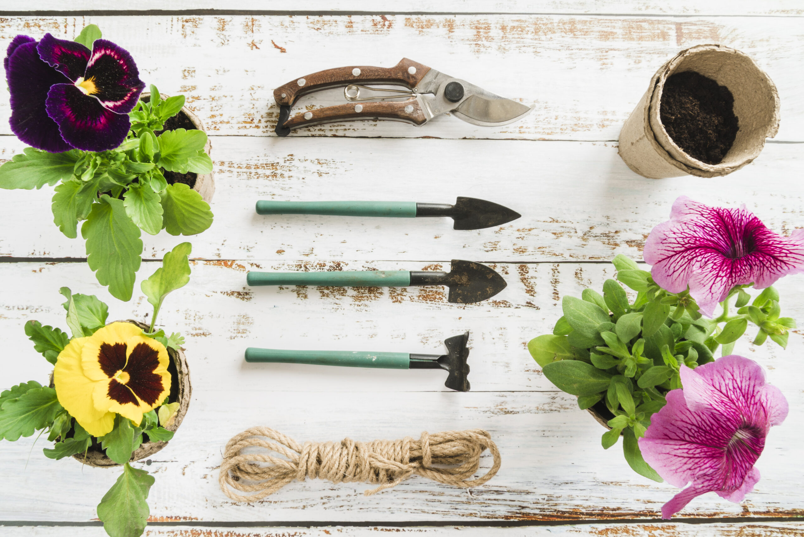 DIY Fairy Garden