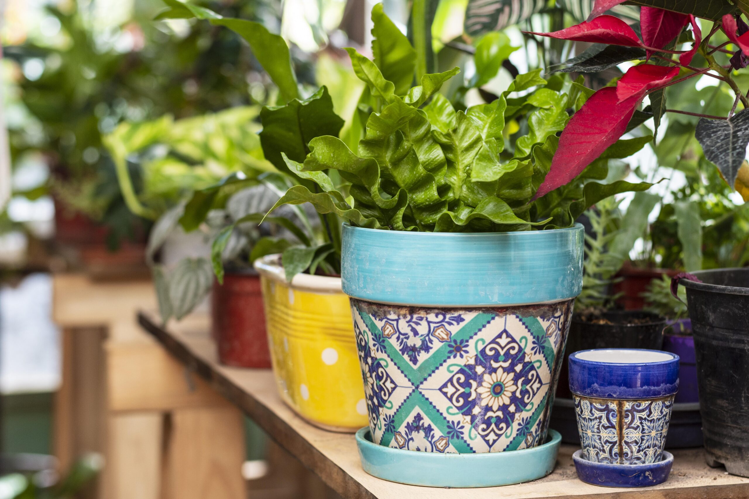 Hydroponic Planters