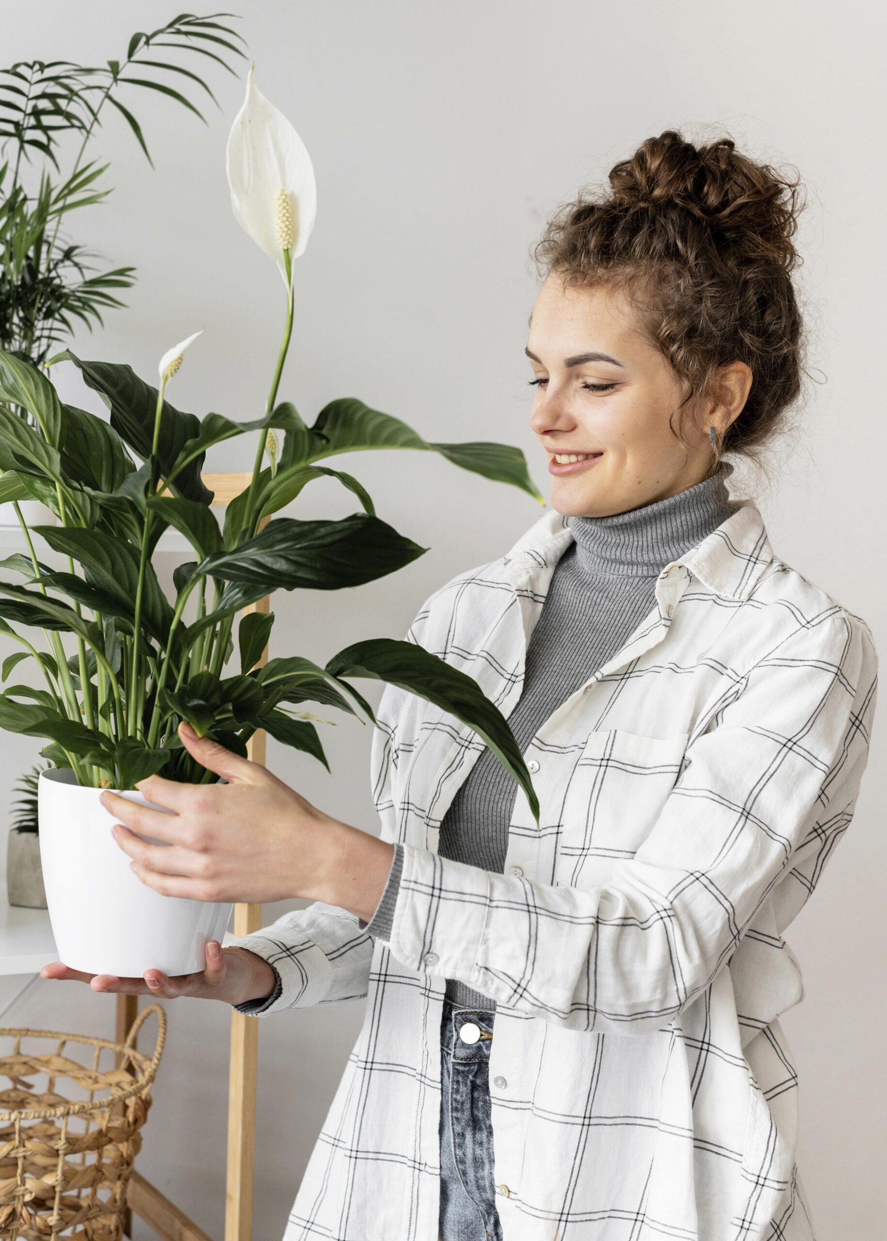 Indoor flowering houseplants