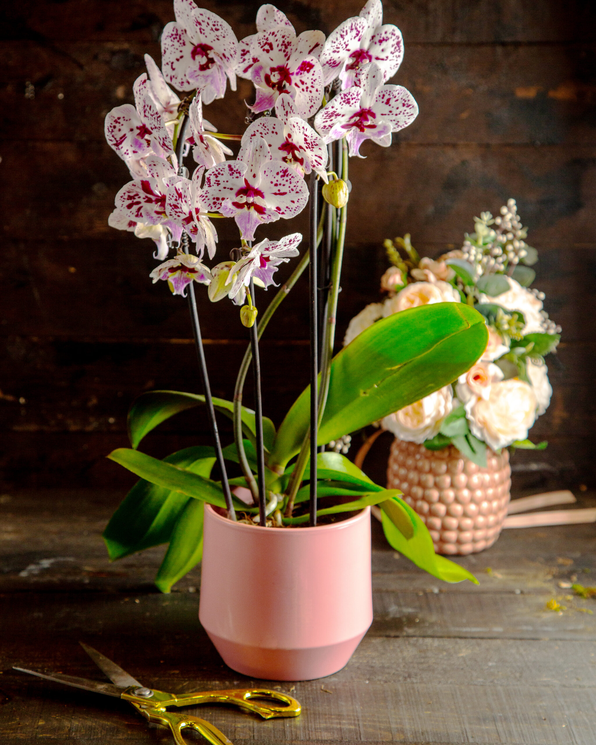 Prune Indoor Flowering Plants