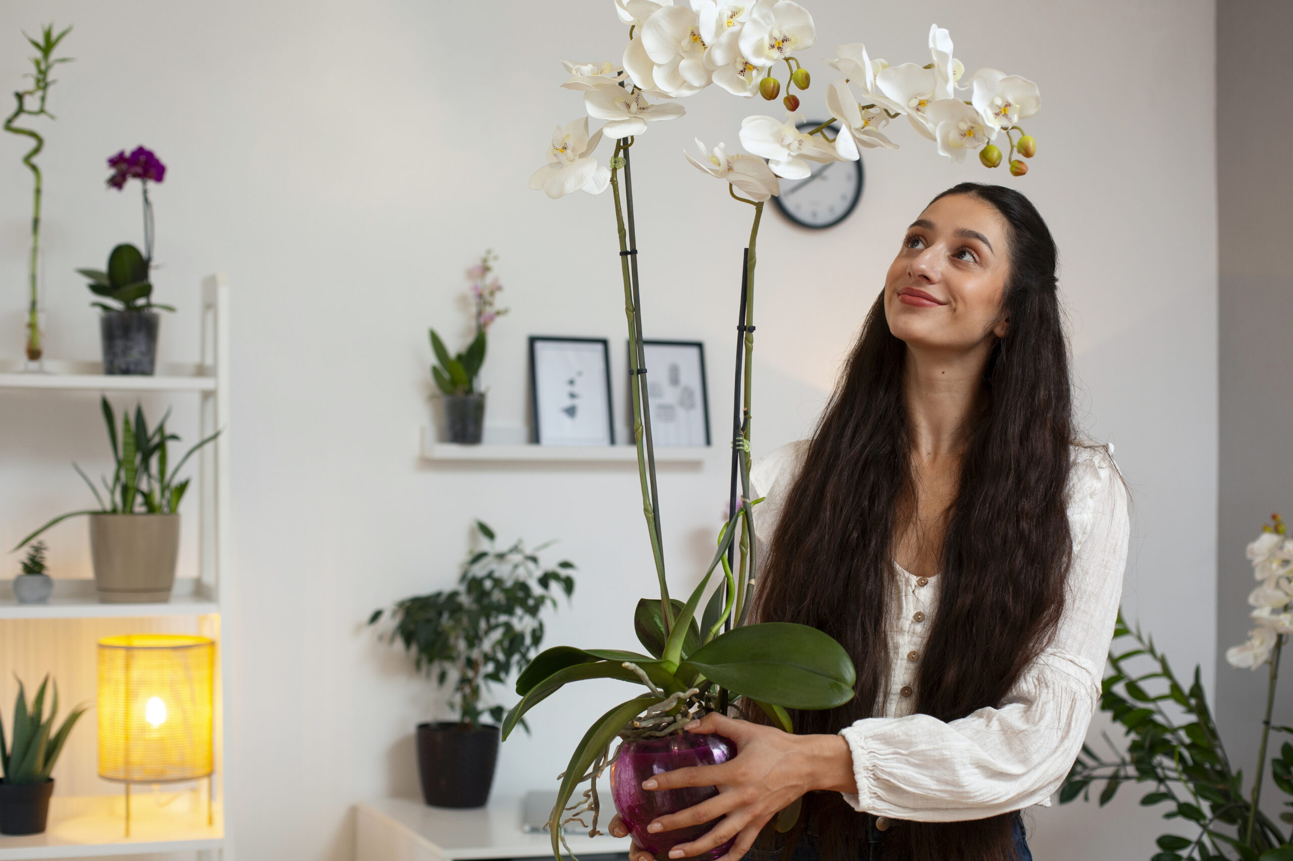 Indoor Flowering Plants