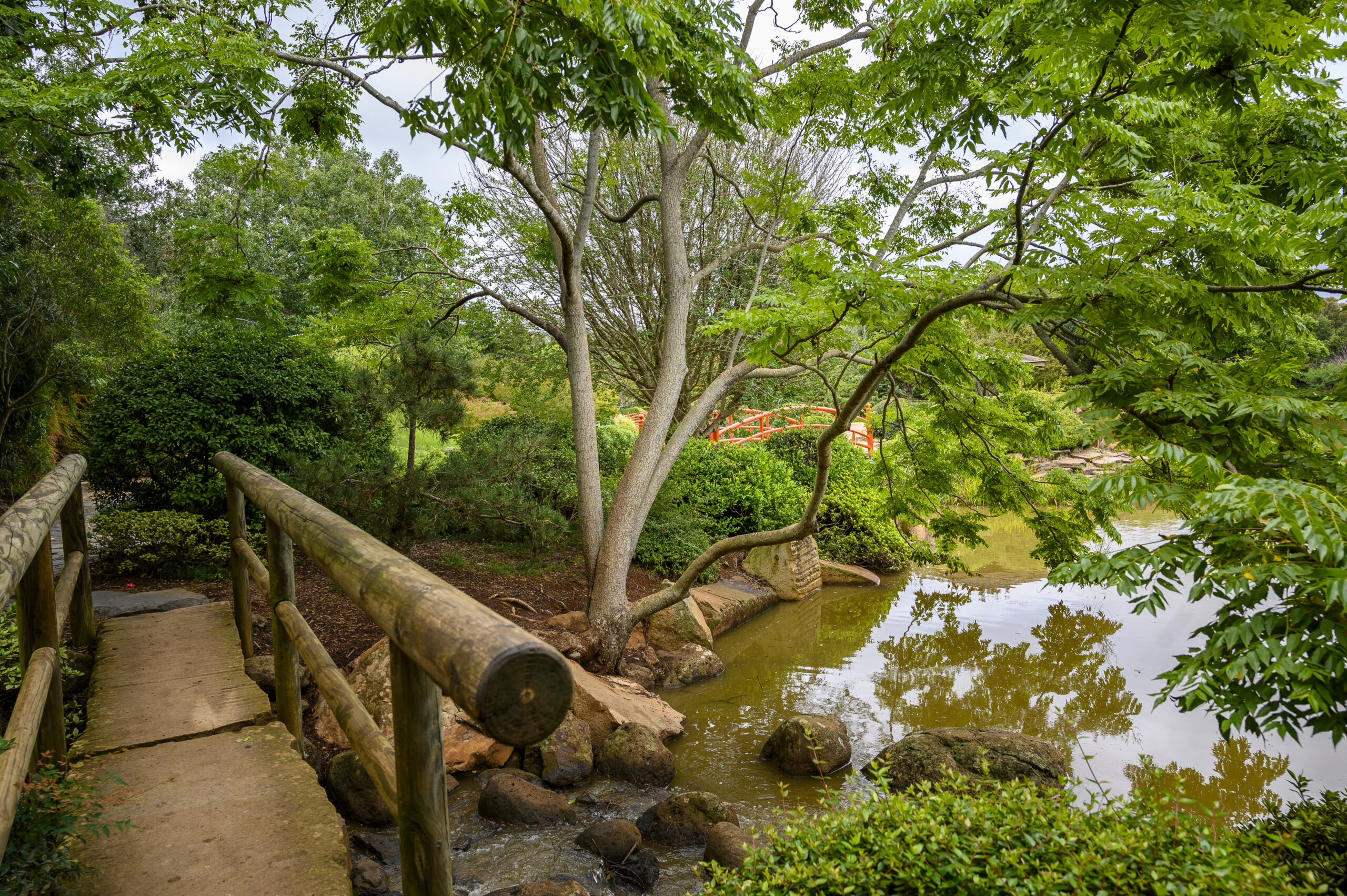 Moonglow Garden