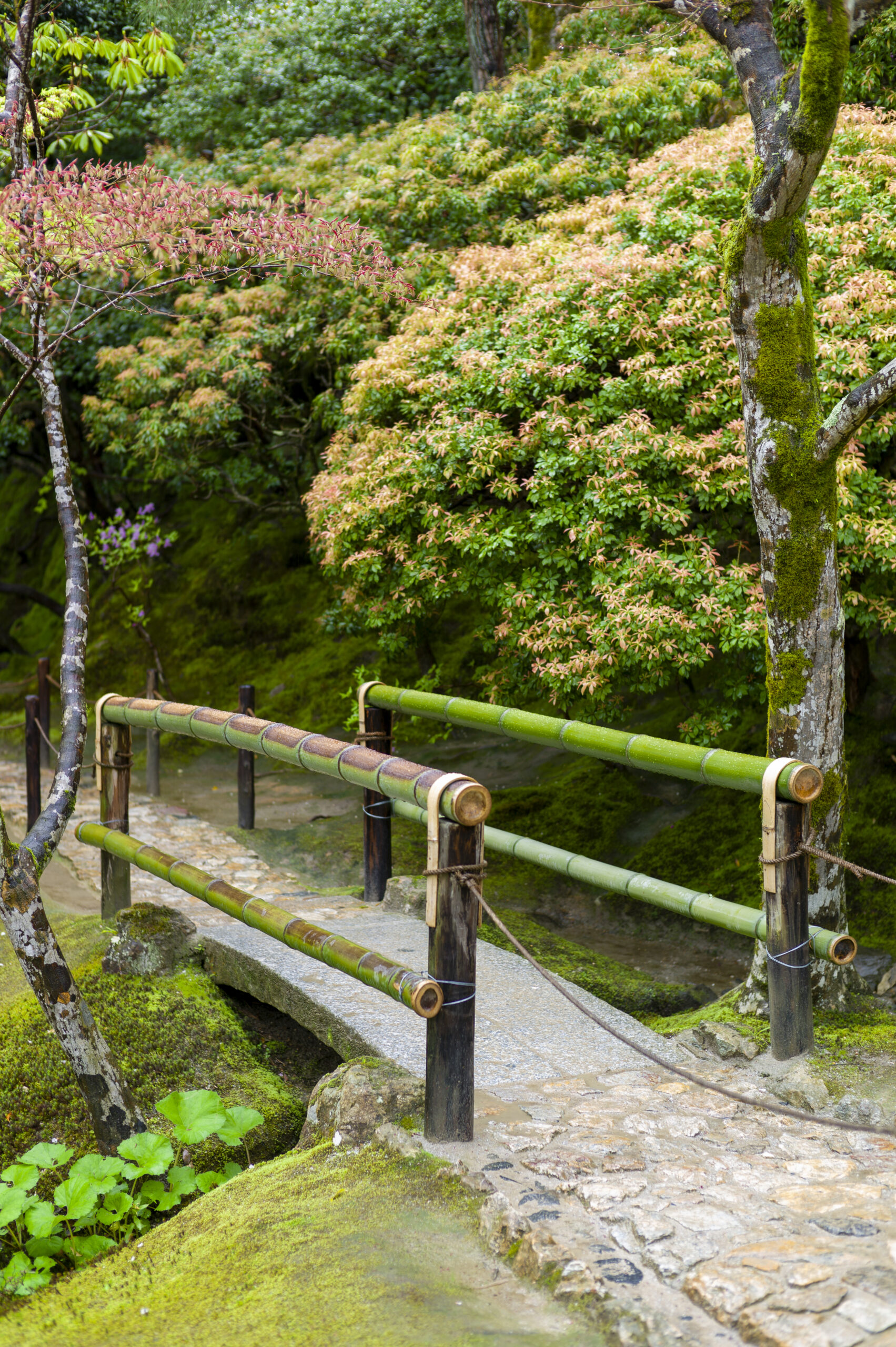 Moonglow Garden